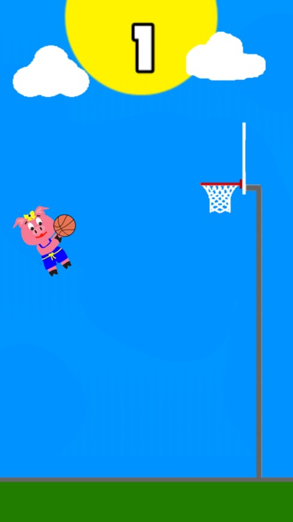 Molly Pig Basketball