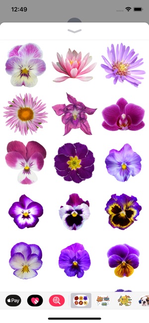 100+ Flower Stickers(圖5)-速報App