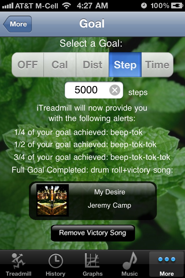 iTreadmill Pedometer screenshot 3