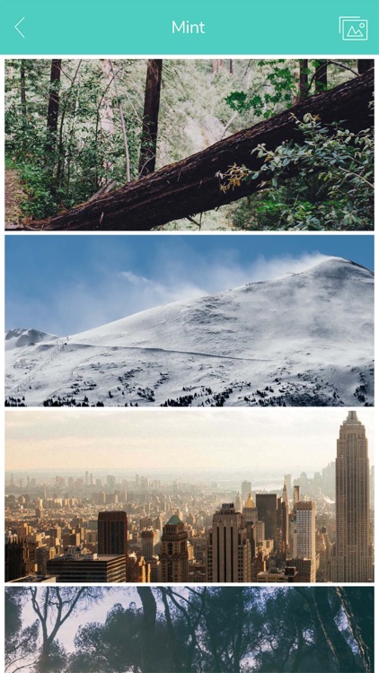 Gelato - Photos & Meme Creation