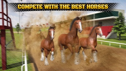 Wild Horse Racing Champions screenshot 2