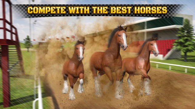 Wild Horse Racing Champions(圖2)-速報App