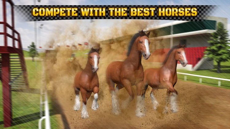 Wild Horse Racing Champions