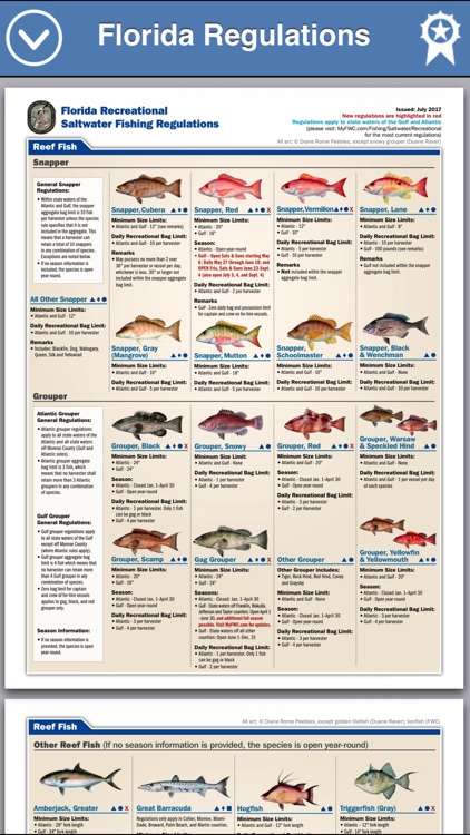 Fish the Gulf screenshot-4