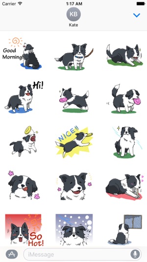 Cute Border Collie Dog Sticker(圖1)-速報App