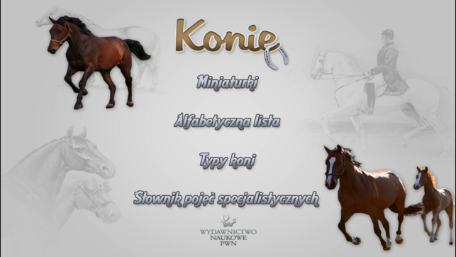 Konie rasowe - Horses