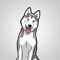 New Husky Dog Stickers and Emojis Pack