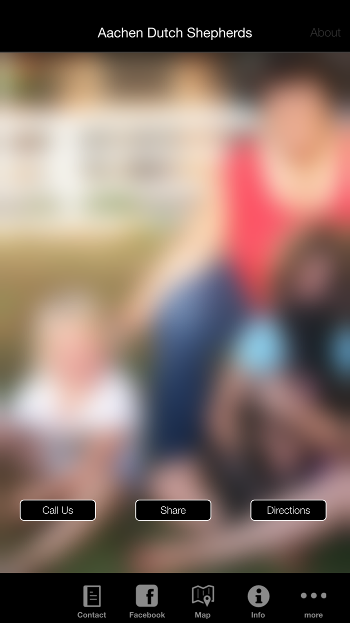 Aachen Dutch Shepherds