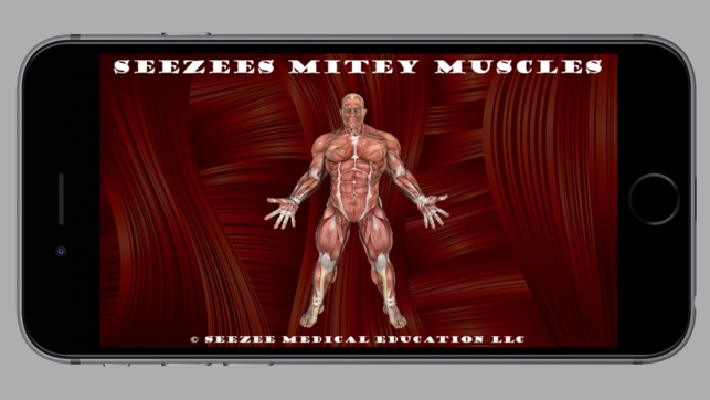 Seezees Mitey Muscles