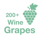 Top 29 Food & Drink Apps Like 200+ Wine Grapes - Best Alternatives
