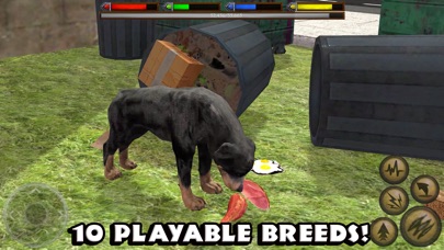 Ultimate Dog Simulator Apprecs - let s play roblox dog sim fish sim hamster simulator