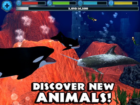 Игра Orca Simulator