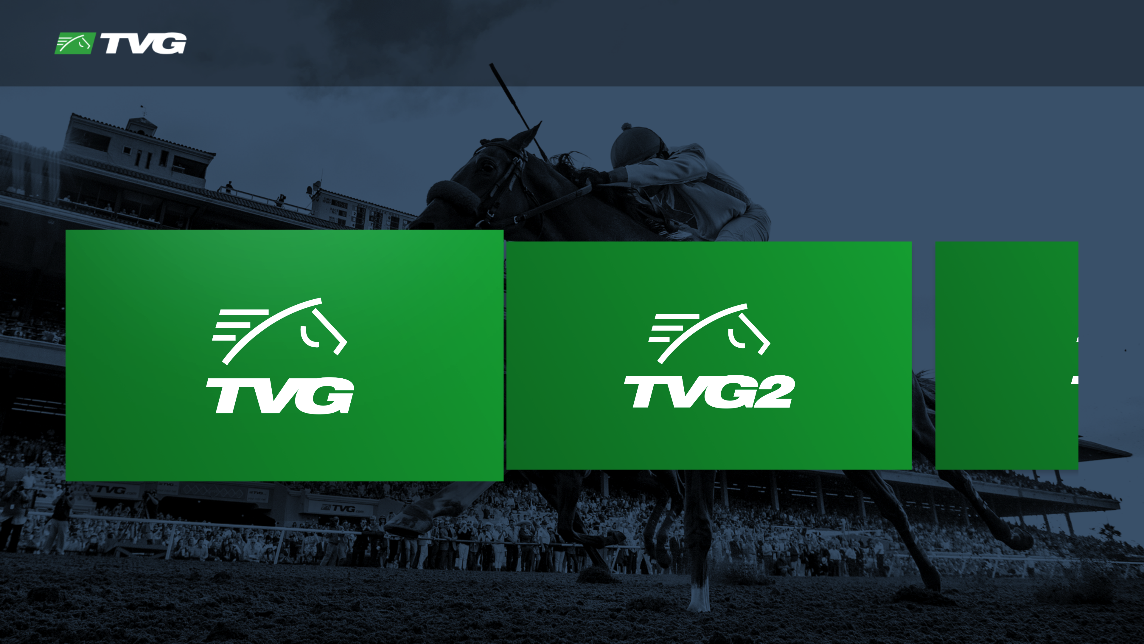 Pabets.tvg.com Pabets.tvg.com
