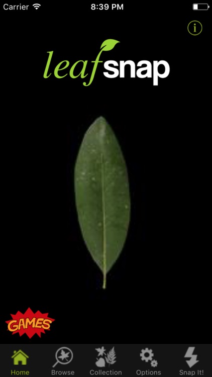 Leafsnap
