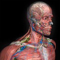 Introdução Anatomia Humana 3D apk