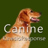 Canine KinesioResponse