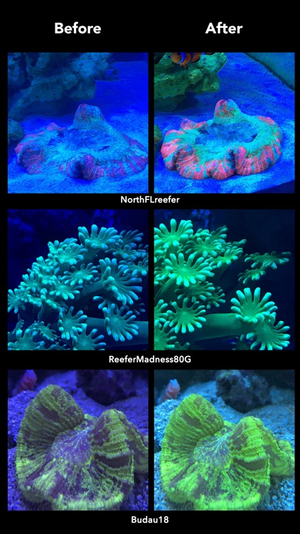 Aquarium Camera screenshot-3