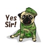 Sticker Animated YellowPug