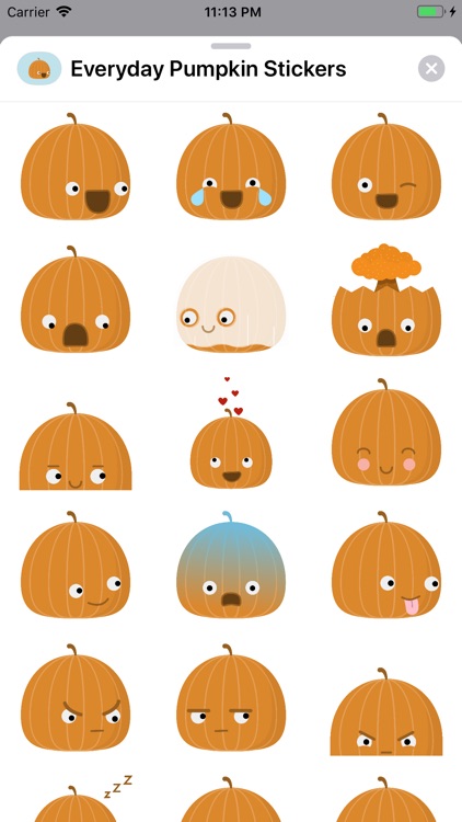 Everyday Pumpkin Stickers