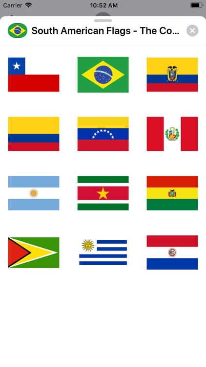 South American Flags!