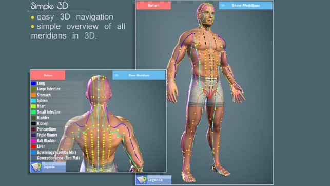 Easy Acupuncture 3D - LITE(圖4)-速報App