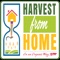 Harvest from Home (HfH) is an e-commerce platform which started to make a ‘bridge’ between the farmers and the organic way product consumers