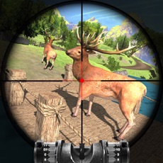 Activities of Deer Hunting Expert Challenge