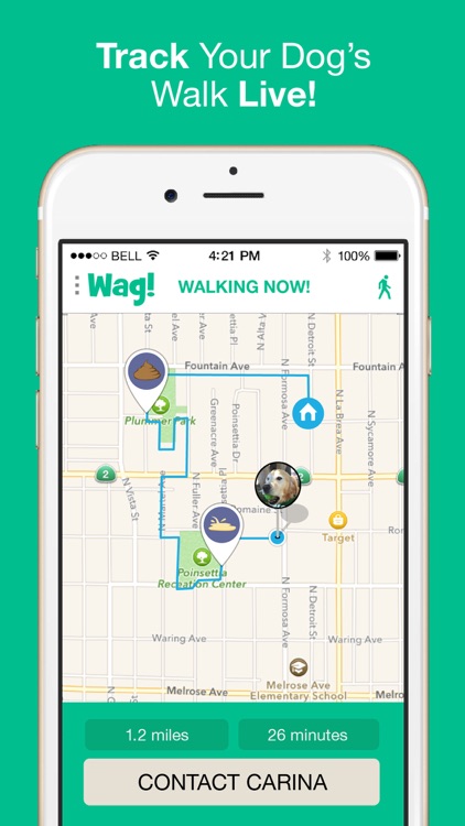 Wag! - Instant Dog Walkers & Sitters