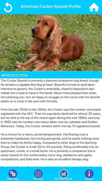 Dog Breeds Guide & Quiz screenshot-6
