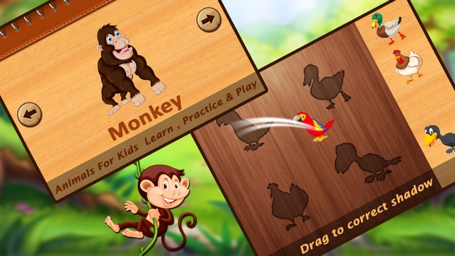 Preschool Animal Learning-Flashcard & Puzzle Game(圖2)-速報App