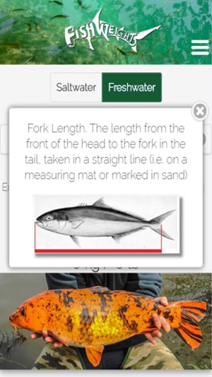 Fishweights New Zealand(圖4)-速報App