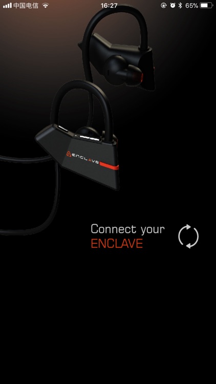 Enclave Interface Panel