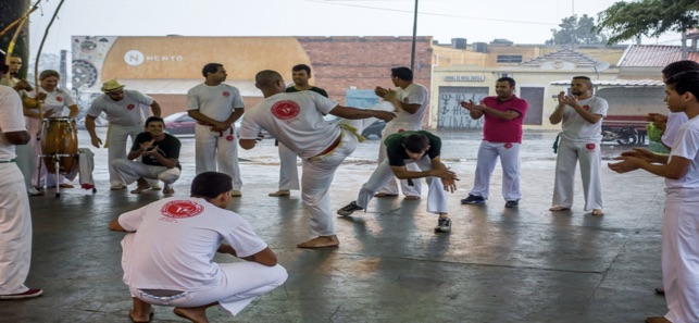 Capoeira Training(圖5)-速報App