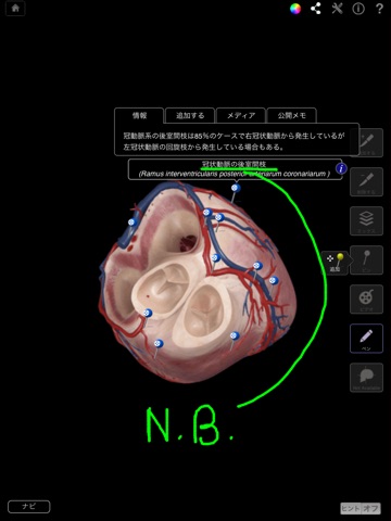 Heart Pro III screenshot 4