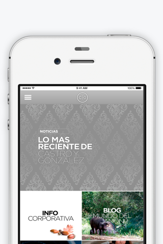 Castro y González screenshot 3