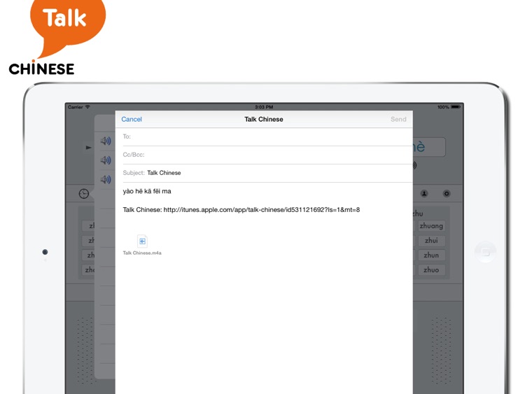 Talk Chinese! screenshot-3