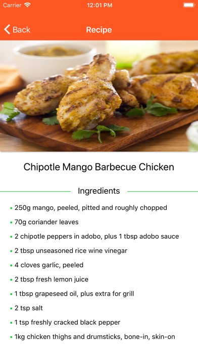 BBQ Barbecue Recipes screenshot 4
