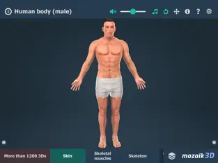 Capture 1 Human body (male) 3D iphone