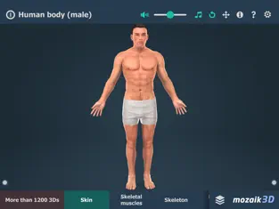 Screenshot 1 Human body (male) 3D iphone