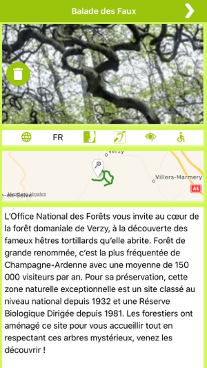 En forêt de Verzy(圖2)-速報App