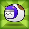 Cat Ninja!