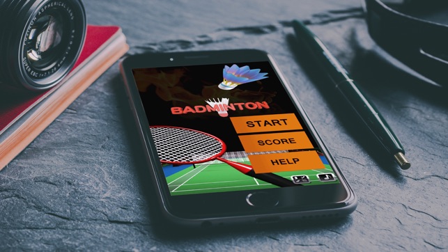 3D Badminton Sports Game