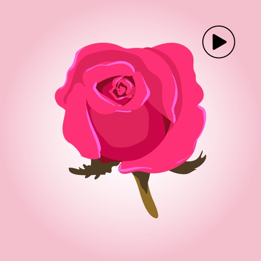 Animated Rose Day Stickers