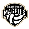 Magpies Netball