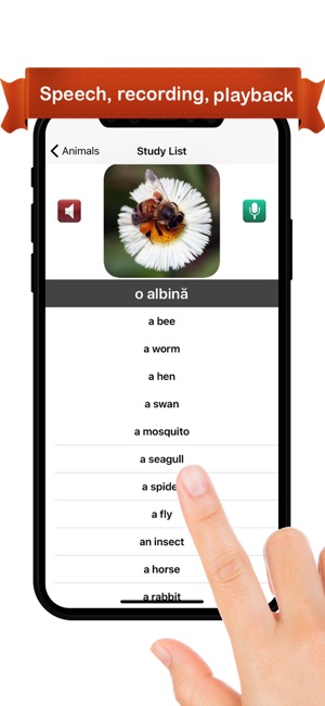 Learn Romanian ™(圖2)-速報App