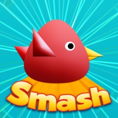 Activities of Cool Birds Game - Fun Smash