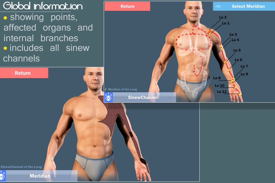 Easy Acupuncture 3D -FULL screenshot 3