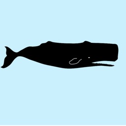 Real Whale Stickers