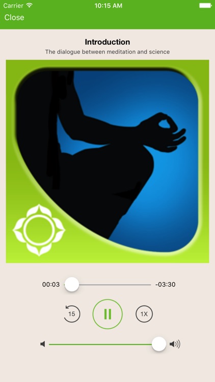 Meditation - Shinzen Young