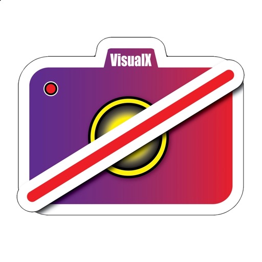 Visual - After Camera Effects